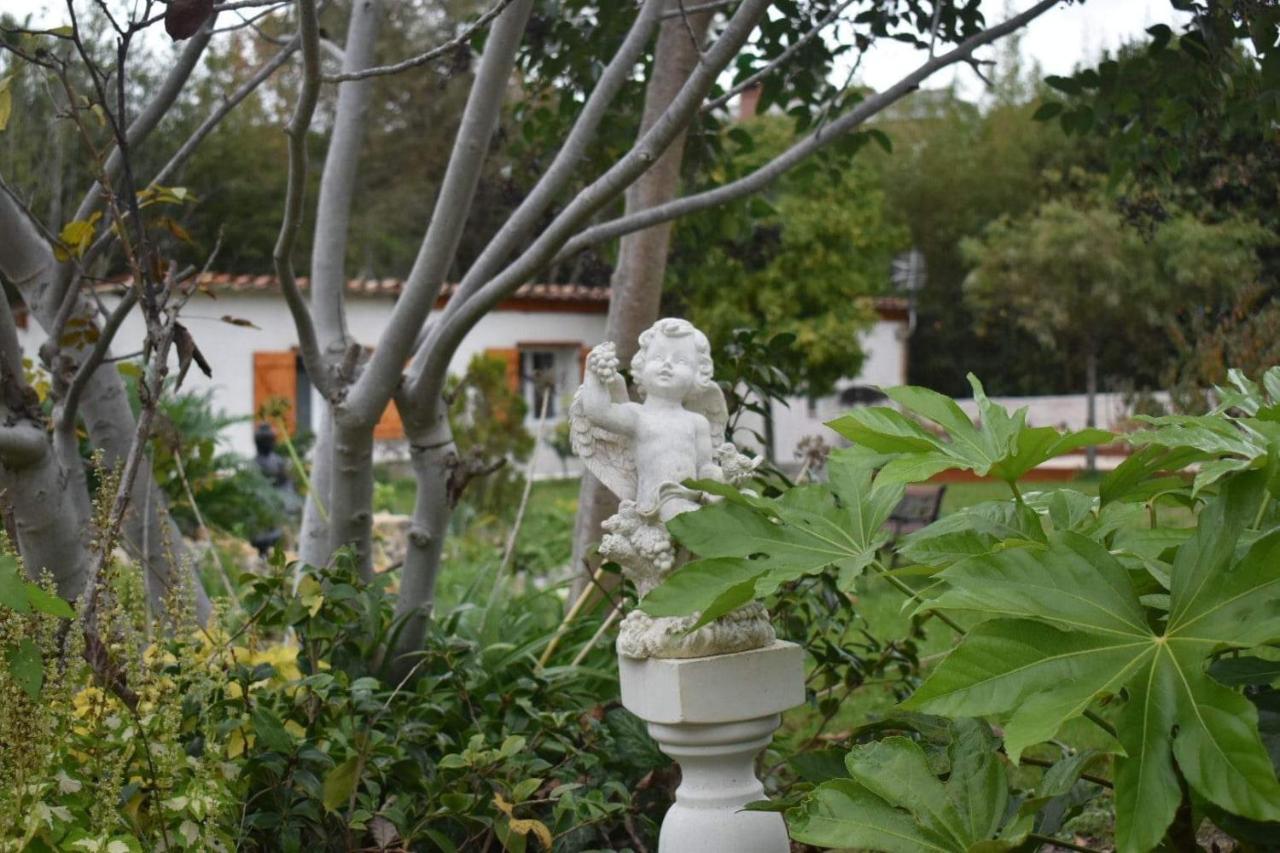 L'Oranger - Magnifique Studio Independant Sur Mougins Avec Jacuzzi Prive - Parking - Climatisation Exterior foto